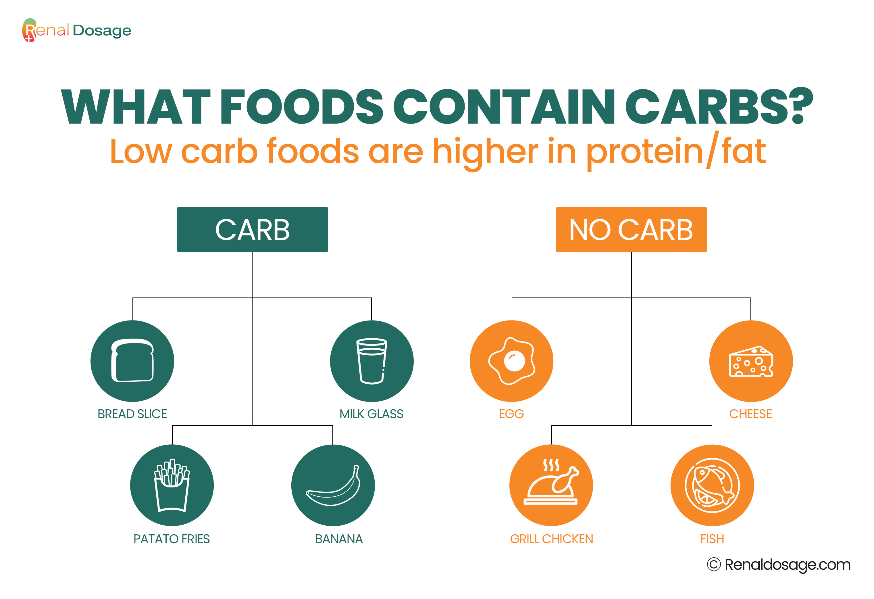 food contain carbs 